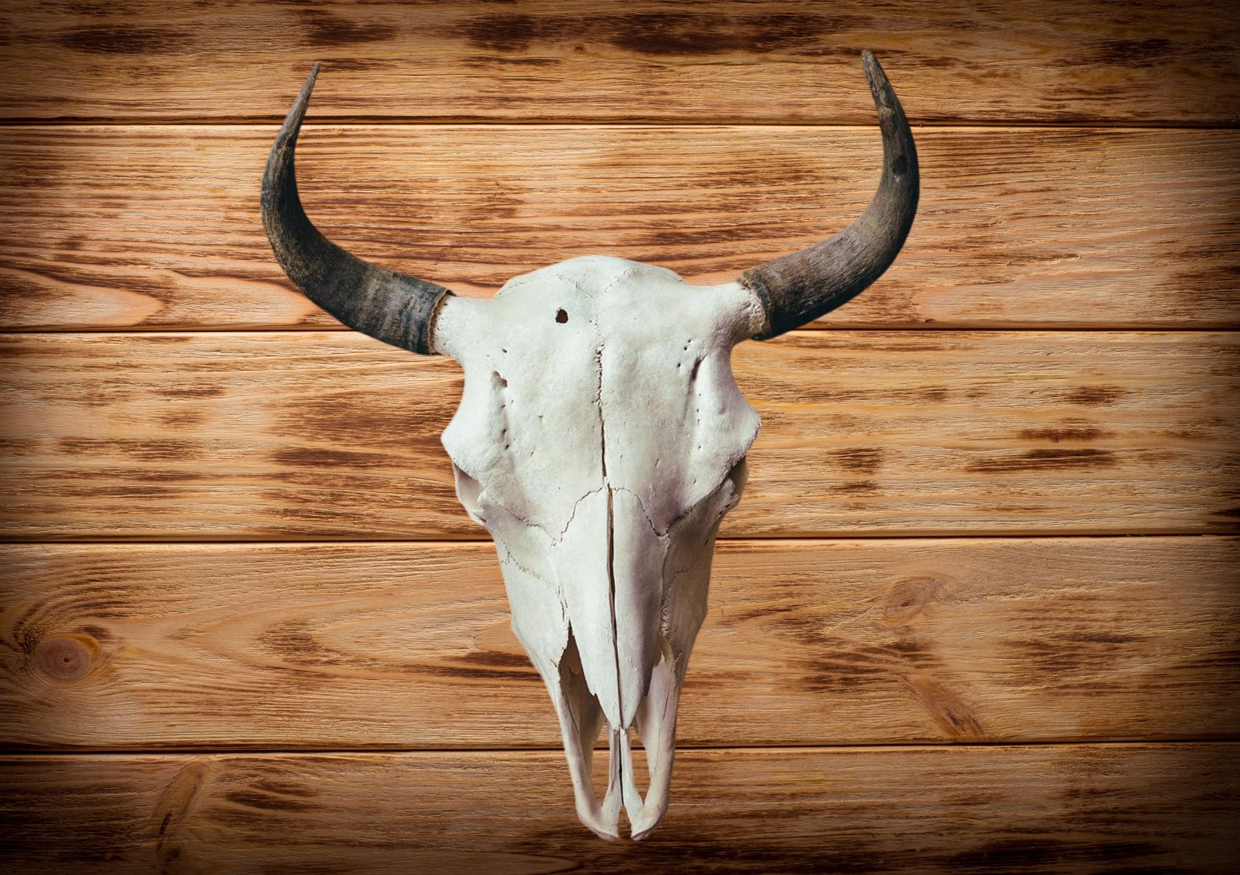 Products & Gifts — The Buffalo Shoppe